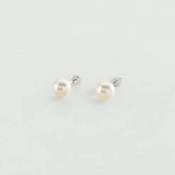 Boucles D'oreilles Puces PERLYS