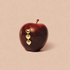 Boucles D'oreilles Pendantes DESIREE -Agatha 02380722 157 TU M3