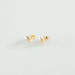 Boucles D'oreilles Puces OURSE