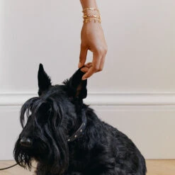 Bracelet Souple CANDY 8 Bracelet Souple CANDY -Agatha 02480341 256 TU M2