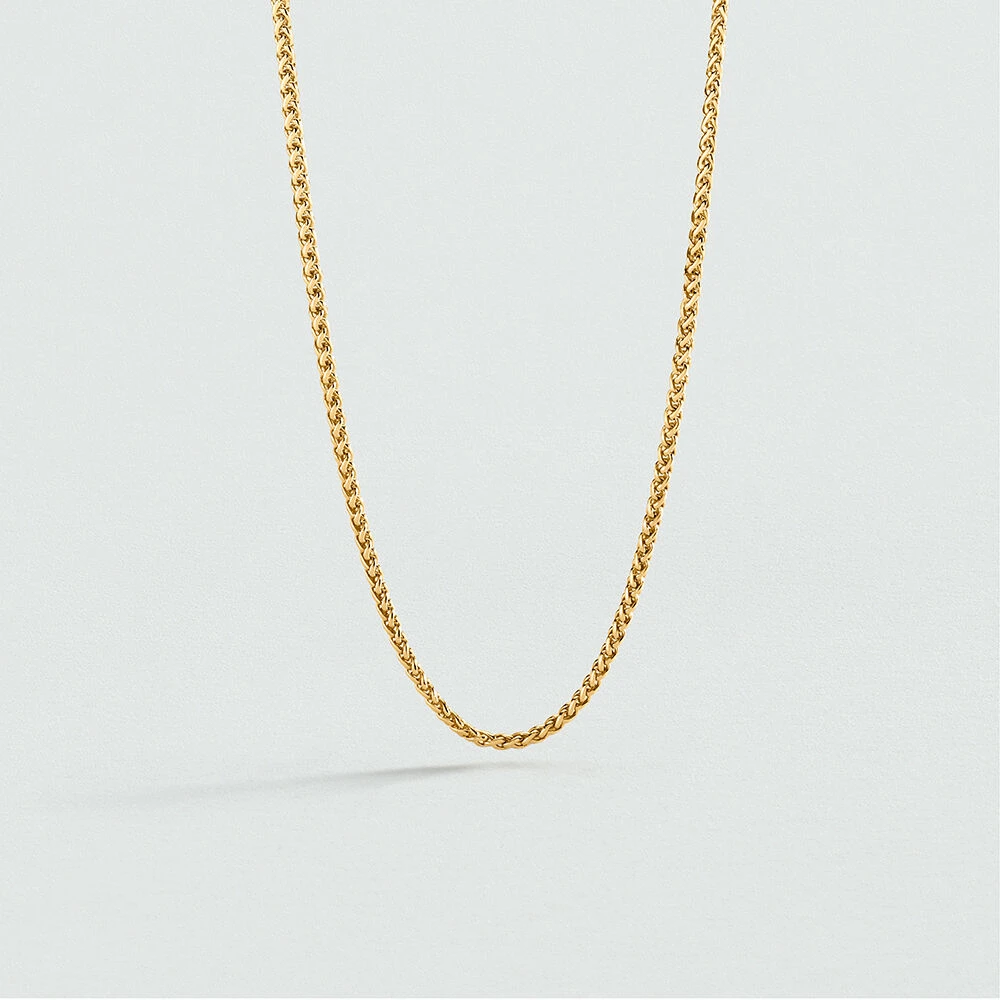 Chaine CHAÎNE PALMIER 1 Chaine CHAÎNE PALMIER