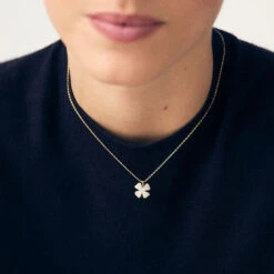 Collier Ras Du Cou FELICIA 8 Collier Ras Du Cou FELICIA -Agatha 02680422 113 TU M1