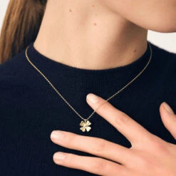 Collier Ras Du Cou FELICIA 9 Collier Ras Du Cou FELICIA -Agatha 02680422 113 TU M2