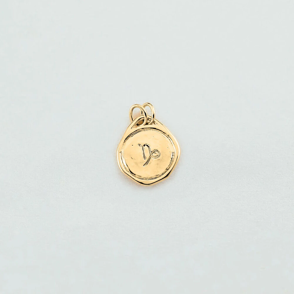 Pendentif CAPRICORNE ZODIAQUE 2 Pendentif CAPRICORNE ZODIAQUE – Image 2